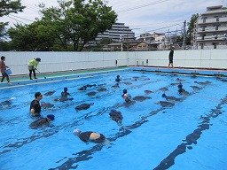 IMG_1368.jpg