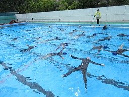 IMG_1370.jpg