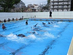 IMG_1377.jpg