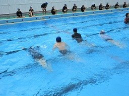 IMG_1381.jpg