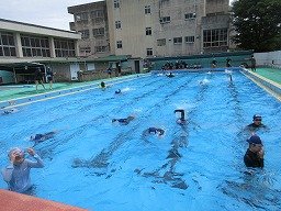 IMG_1386.jpg