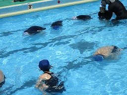 IMG_1409.jpg