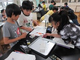 IMG_1477.jpg