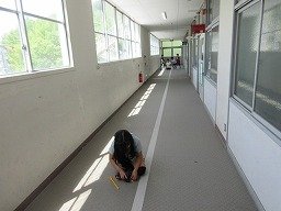 IMG_1537.jpg