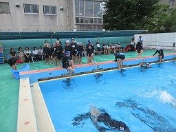 IMG_1563.jpg