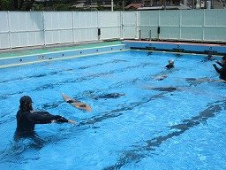 IMG_1587.jpg