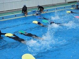 IMG_1595.jpg