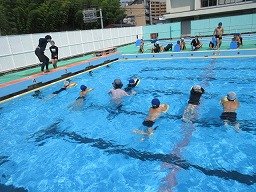 IMG_1611.jpg