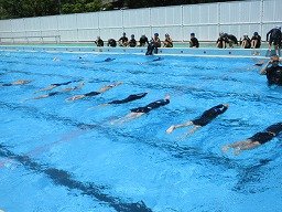 IMG_1617.jpg
