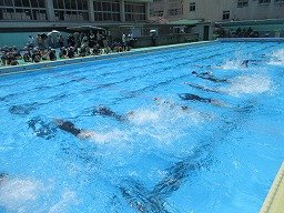 IMG_1618.jpg