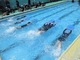 IMG_1622.jpg