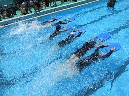 IMG_1624.jpg