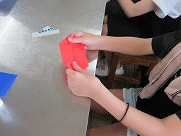 IMG_1645.jpg