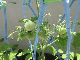IMG_1670.jpg