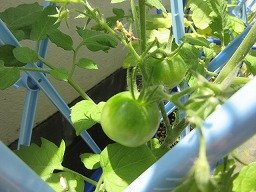 IMG_1671.jpg
