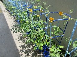 IMG_1674.jpg