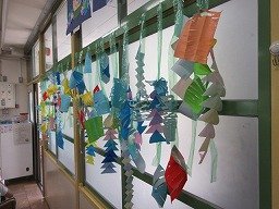 IMG_1741.jpg