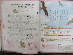 IMG_1768.jpg