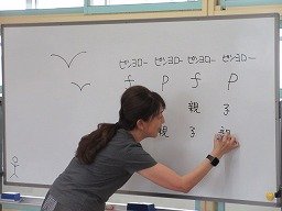 IMG_1772.jpg