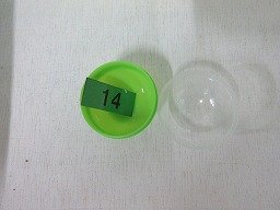 IMG_1806.jpg