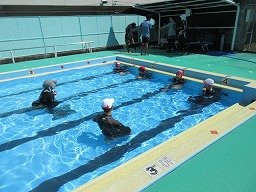 IMG_1884.jpg