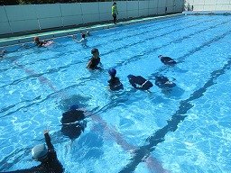 IMG_1885.jpg