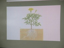 IMG_1923.jpg