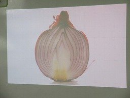 IMG_1935.jpg