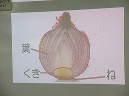 IMG_1946.jpg