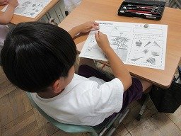 IMG_1947.jpg
