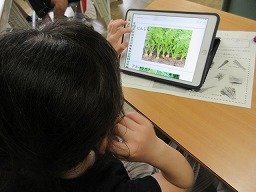 IMG_1949.jpg