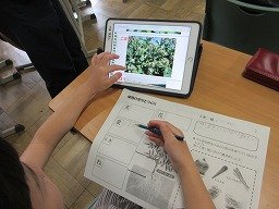 IMG_1950.jpg
