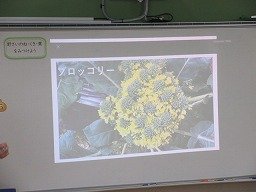 IMG_1954.jpg