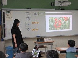 IMG_1955.jpg