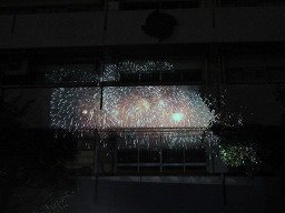 IMG_2031.jpg