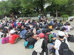 IMG_2075.jpg
