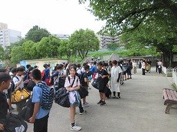 IMG_2078.jpg