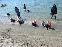 IMG_2104.jpg