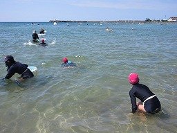 IMG_2111.jpg
