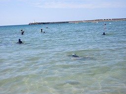 IMG_2118.jpg