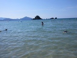 IMG_2120.jpg