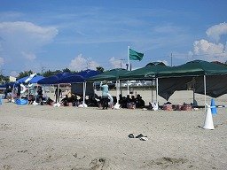 IMG_2123.jpg