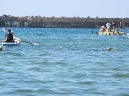 IMG_2130.jpg