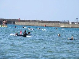 IMG_2131.jpg