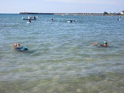 IMG_2145.jpg