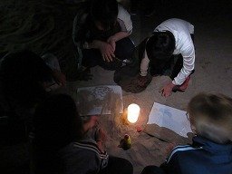 IMG_2169.jpg