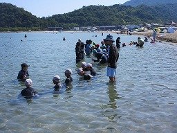 IMG_2201.jpg