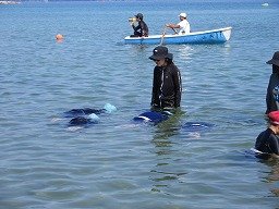 IMG_2207.jpg