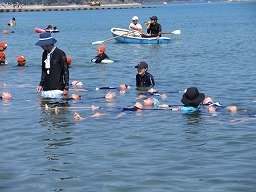 IMG_2209.jpg