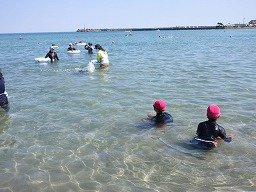 IMG_2211.jpg